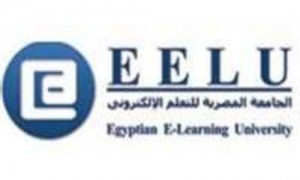الجامعة المصرية للتعليم الإليكتروني
